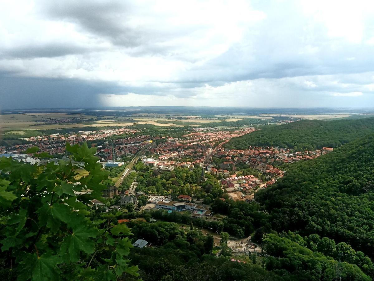 Ferienwohnung Boehnstedt Thale Dış mekan fotoğraf